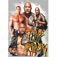 idol singer-GS  2462